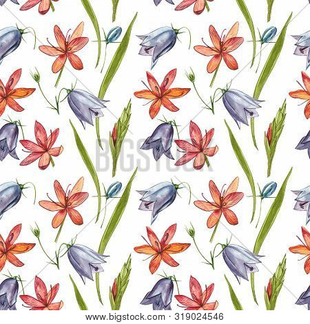 Kafir Lilies Flowers. Seamless Patterns. Collection Of Hand Drawn Flowers And Plants. Botany. Set. V