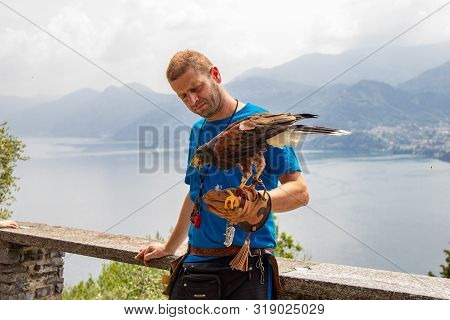 11.06.2019 Varenna, Italy, Europe: Trainer Holds His Eagle On A Hand With Leather Glove Of Falconry 
