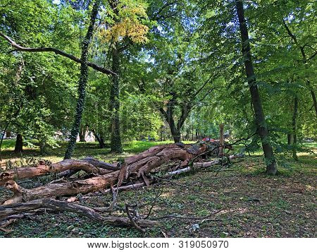 Park Of Pejacevic Castle Or Perivoj Dvorca Pejacevic - Nasice, Croatia
