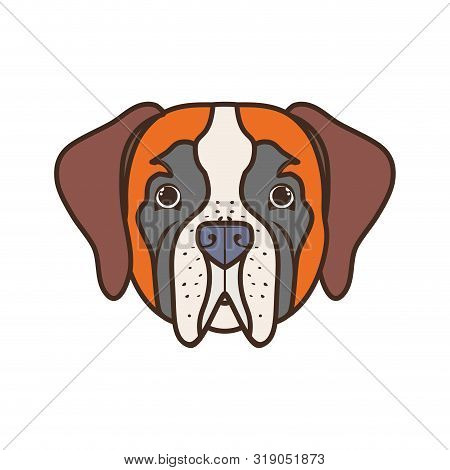 Head Of Cute San Bernardo Dog On White Background Vector Illustration Design