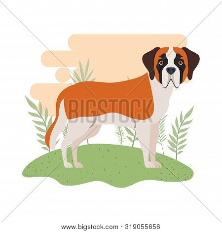 Cute San Bernardo Dog On White Background Vector Illustration Design