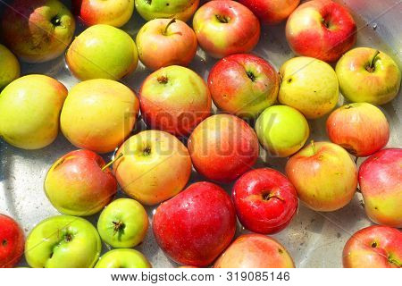 Ukrainian Bright And Colorful, Fresh Apples Plucked From A Tree And Lying With Water For Washing. Br
