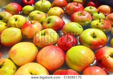 Ukrainian Bright And Colorful, Fresh Apples Plucked From A Tree And Lying With Water For Washing. Br