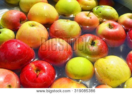 Ukrainian Bright And Colorful, Fresh Apples Plucked From A Tree And Lying With Water For Washing. Br