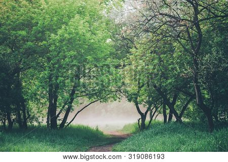 Atmospheric Landscape With Beautiful Lush Green Foliage. Footpath Under Trees In Park In Early Morni