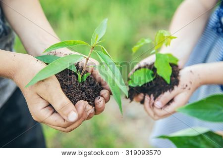 Children Plant Plants Together In Their Hands. Selective Focus.