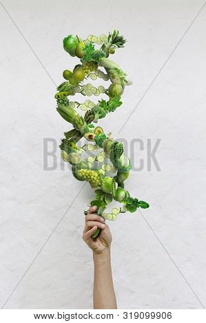 Nutrition Genetics Nutrigenomics concept DNA made of fresh veggies and fruits