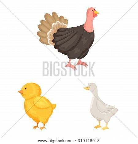 Vector Illustration Of Farm And Food Sign. Set Of Farm And Countryside Vector Icon For Stock.