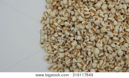 Job's Tears, Also Known As Adlay And Coix On White Background. Popular In Asian Cultures As A Food S
