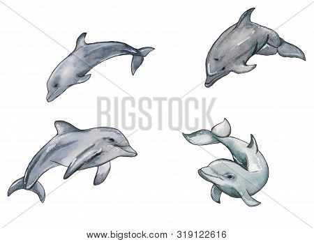 Hand Drawn Illustration Set Of Watercolor Swimming Dophins Isolated On White Background