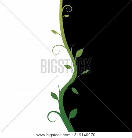 Background Black And White, Branch With Leaves Divides Background Into Two Parts,