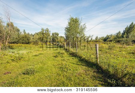 Fence Of Wooden Posts And Barbed Wire In A Dutch Nature Reserve Near Vuren, Gelderland. Behind The F