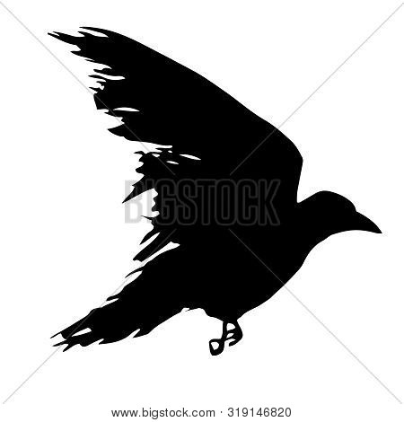 Raven Black Silhouette Isolated On White Background. Flying Crow Symbol. Vector Illustration