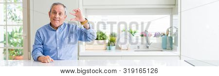 Wide angle perspective of handsome senior man at home smiling and confident gesturing with hand doing size sign with fingers while looking and the camera. Measure concept.