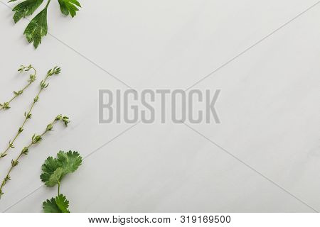 Top View Of Cilantro, Parsley And Thyme Twigs On White Background