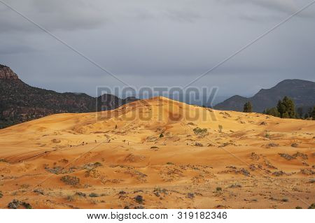 Coral Pink Sand Dunes State Park In Utah