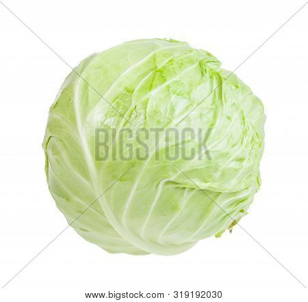 Cabbagehead Of White Cabbage Isolated On White Background