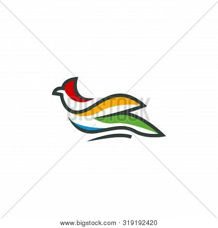 Abstract Beautiful Bird Colorful Logo Vector Template