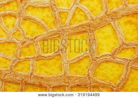 The Peel Of A Ripe Yellow Melon With Texture Tracks, Full Screen. Melon Variety Torpedo