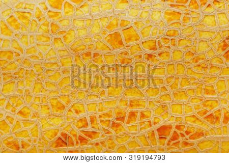 The Peel Of A Ripe Yellow Melon With Texture Tracks, Full Screen. Melon Variety Torpedo