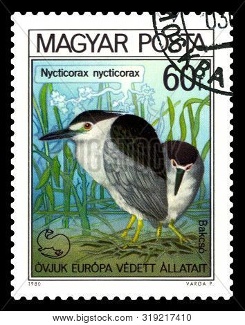 Stavropol, Russia - August 21. 2019: A Stamp Printed By Hungary Shows Bird  Common Heron, Nycticorax