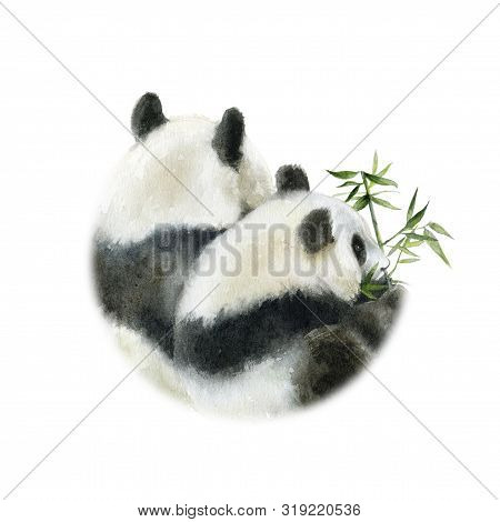 Panda Bears Design Card Watercolor Isolated On White Background