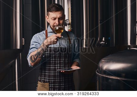 Beer Expert Stirrs The Light Beer In The Glass.