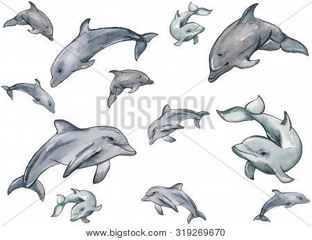 Hand Drawn Illustration Pattern Of Watercolor Swimming Dophins Isolated On White Background