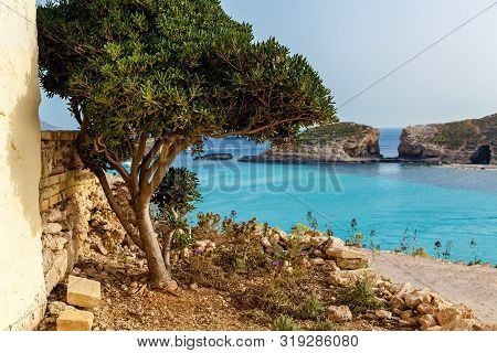 Maltese Beach. Seashore Of Malta. Ghajn Tuffieha Bay In Summer. Tropical Resort. Landscape With Beac