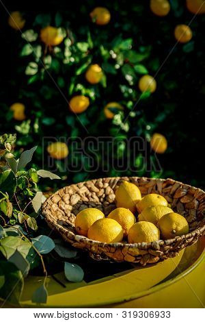 Lemons In A Basket, Green Floral Background.
