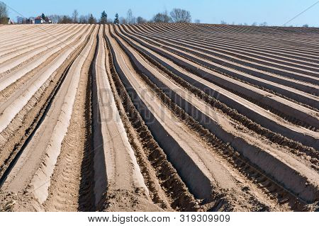 Smooth The Ruts Of Ploughed Land, Ploughed Furrows In The Ground