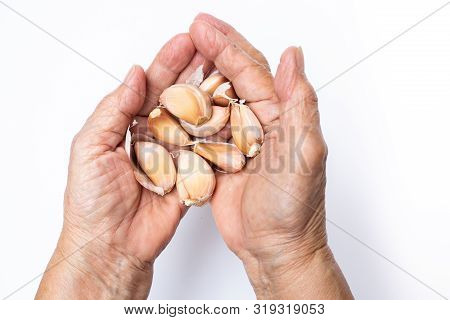 Senior Woman's Hand Peeling Garlic Or Allium Sativum  Isolated On White Background