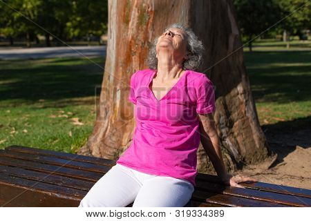 Tranquil Old Lady Relaxing Outdoors. Senior Grey Haired Woman In Casual Sitting On Park Bench With C