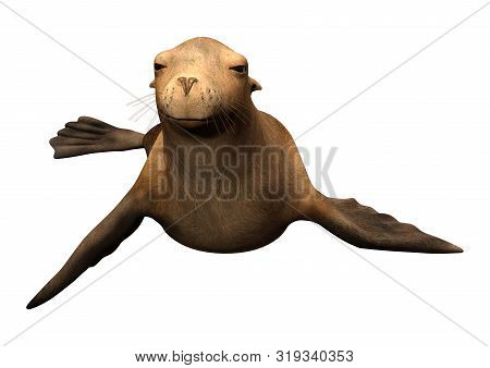 3D Rendering Harbor Seal On White