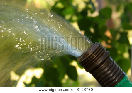 Spray brillo