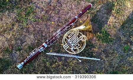 Three Musical Instruments Lie On The Grass. French Horn, Bassoon, Flute