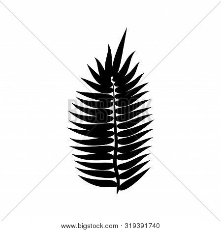 Dypsis For Decorative Design. Isolated Sign Symbol. Isolated Vector Illustration. Summer Tropical Le