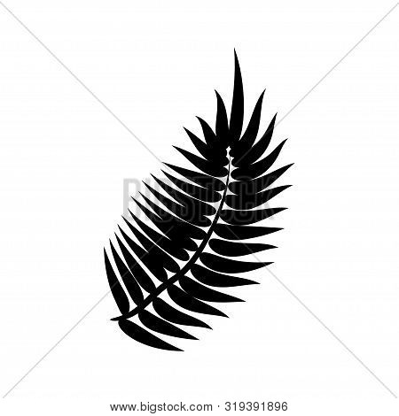 Dypsis For Decorative Design. Isolated Sign Symbol. Isolated Vector Illustration. Summer Tropical Le