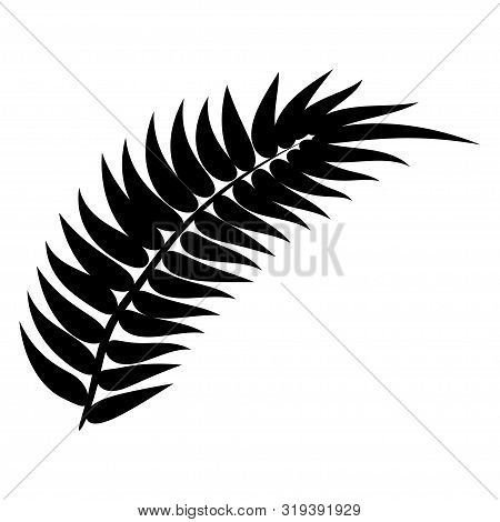 Dypsis For Decorative Design. Isolated Sign Symbol. Isolated Vector Illustration. Summer Tropical Le