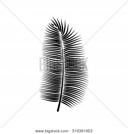Dypsis For Decorative Design. Isolated Sign Symbol. Isolated Vector Illustration. Summer Tropical Le