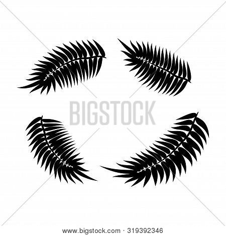 Dypsis For Decorative Design. Isolated Sign Symbol. Isolated Vector Illustration. Summer Tropical Le