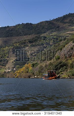 Scenic View Of The Douro River With A Traditional Rabelo Boat And Terraced Vineyards Near The Tua Vi