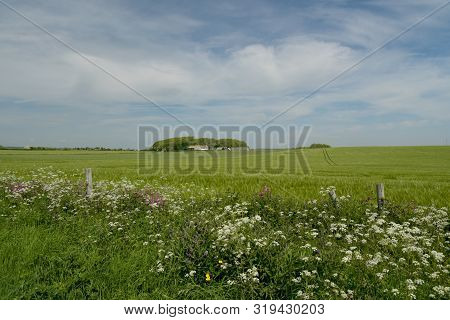 View Over Fields Near The Village Of Kingston On The Dorset Coast