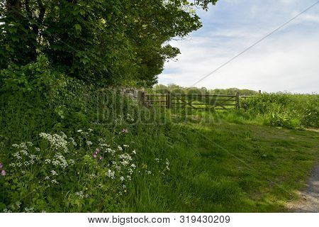 View Over Fields Near The Village Of Kingston On The Dorset Coast