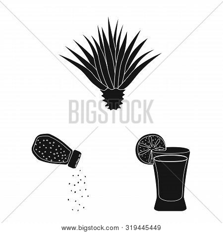Vector Design Of Carnival And National Icon. Set Of Carnival And Tequila Stock Vector Illustration.