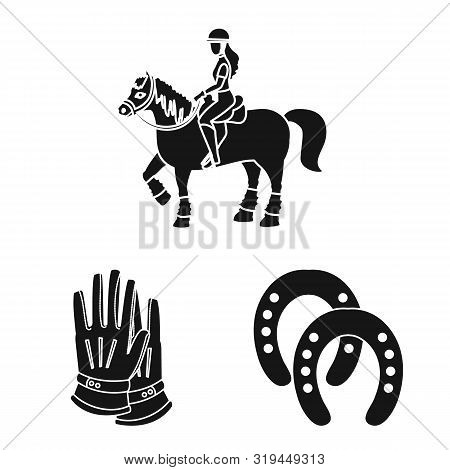 Vector Illustration Of Sport And Competition Sign. Set Of Sport And Equestrian Vector Icon For Stock