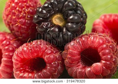 Close-up Of Fresh Ripe Raspberries And Blac Kberry