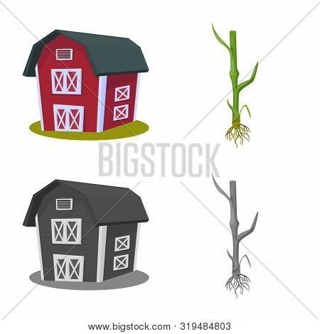 Vector Design Of Agriculture And Farming Icon. Set Of Agriculture And Plant Vector Icon For Stock.