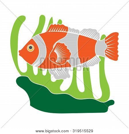 Clownfish And Anemone Icon In Colour Style Isolated On White Background. Australia Symbol Stock Vect