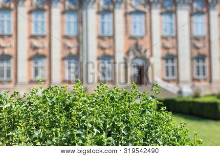 Background Of Blur House Of Nobility Riddarhuset In Stockholm Old Town. In The Foreground Green Bush